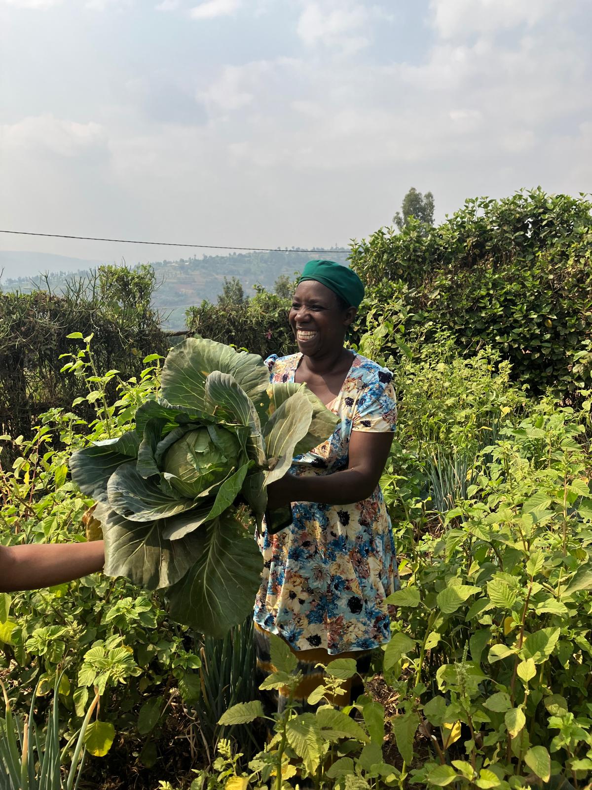 Home Harvest Programm in Ruanda